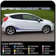 FORD FIESTA MK7 / 8 and Graphics Set Stickers Stripes FIESTA decals car side straps for ford fiesta fiesta