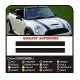 Stickers for mini cooper Stripes mini cooper Bonnet Stripes - adhesive strips bonnet