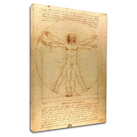 The framework Leonardo Da Vinci - The Vitruvian man - Leonardo - Painting print on canvas with or without frame