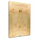 The framework Leonardo Da Vinci - The Vitruvian man - Leonardo - Painting print on canvas with or without frame