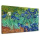 Rahmen Van Gogh - Iris - Van Gogh-Irises Bild drucken auf leinwand, leinwand mit oder ohne rahmen