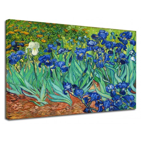 Picture Van Gogh - Irises - Van Gogh Irises Painting print on canvas with or without frame