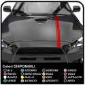 Stickers HOOD two-tone MINI COOPER S bands HOOD BACK VIPER adhesive strips mini cooper