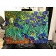 Picture Van Gogh - Irises - Van Gogh Irises Painting print on canvas with or without frame