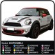 Stickers two-tone MINI COOPER S SIDE panels and BONNET mini cooper two-tone