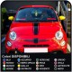 Adesivi per FIAT 500 KIT fasce cofano strisce adesivi per cofano fiat 500 mini ed altre vetture