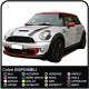 Adesivi BICOLORE MINI COOPER S fasce COFANO mini cooper bicolore