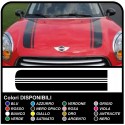 pegatinas de la campana mini cooper Rayas Coche de Rally de Víbora kit de adhesivo rayas COUNTRYMAN John Cooper el UNO con